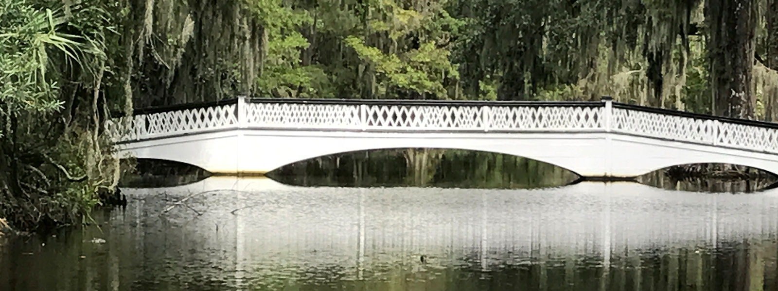 Magnolia Bridge