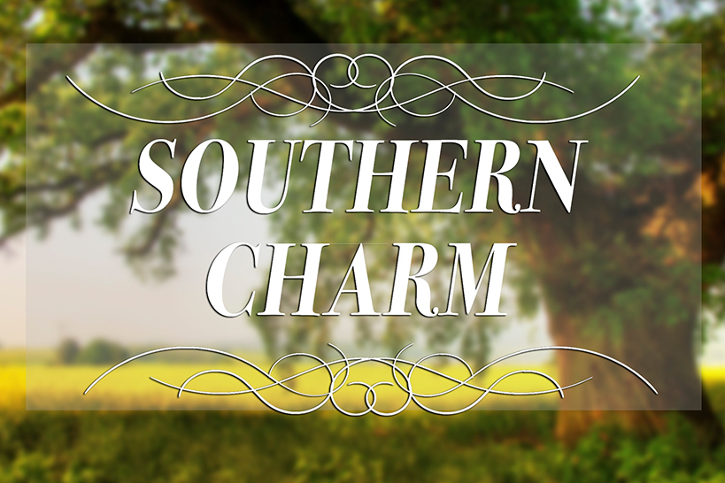 Southern Charm Experience